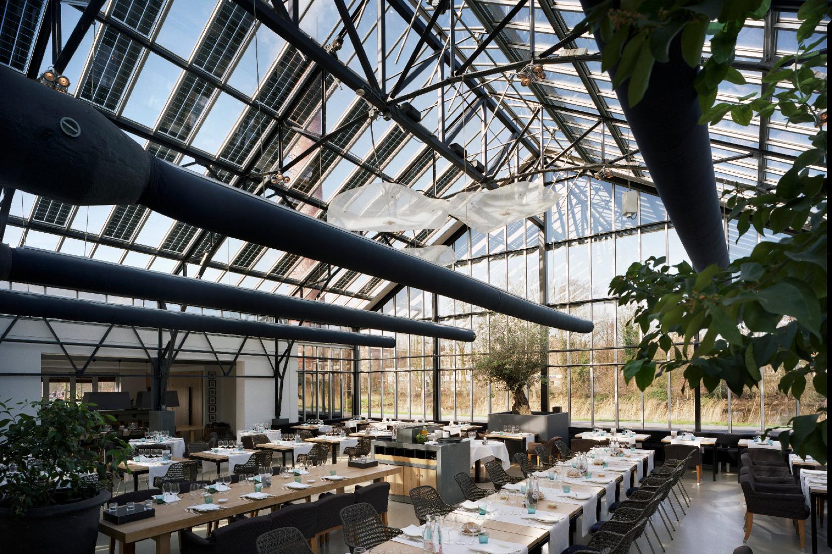 The Greenhouse 6x