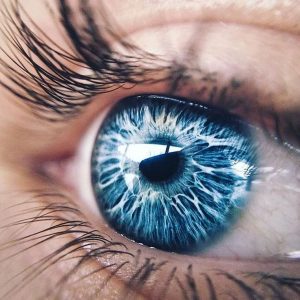 EYE Film Museum: Discover the world of cinema