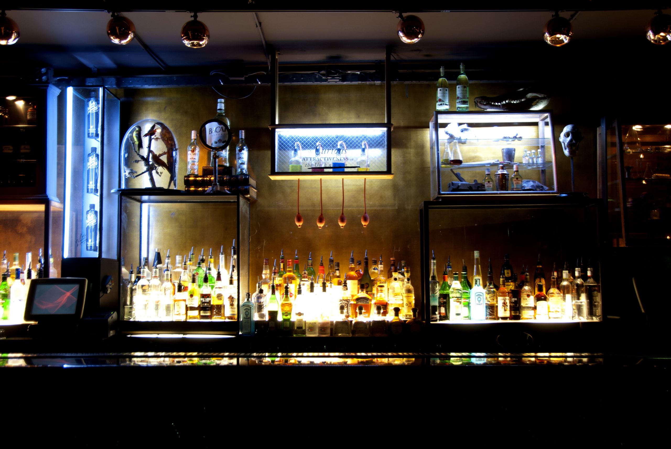 JimmyWoo4 2