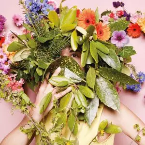 Wild van planten? Betreedt dan Wildernis
