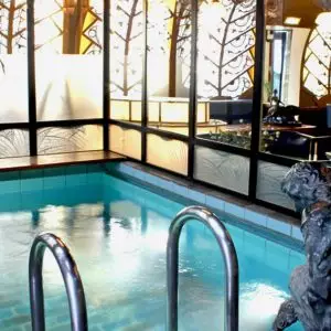 Sauna Deco is chic relaxation in Parisian allure