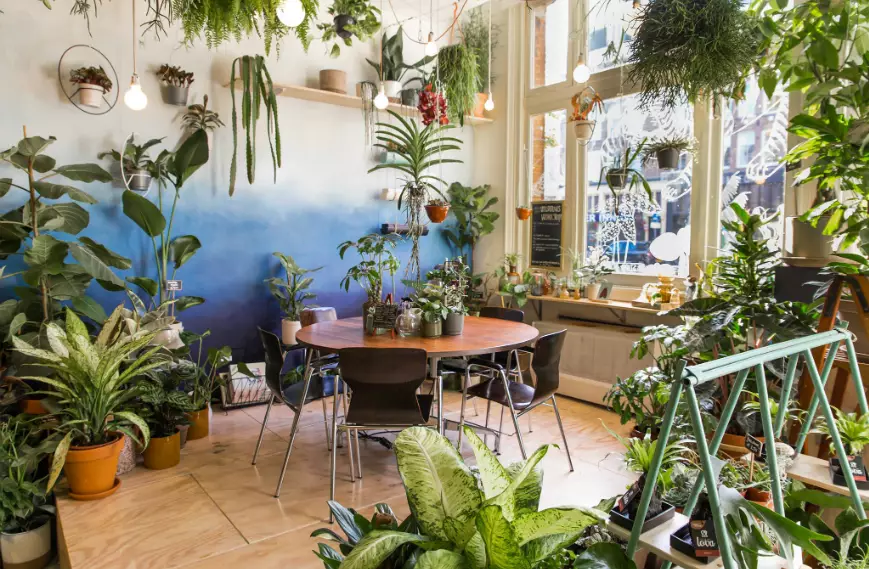 wilderness-amsterdam-west-shop