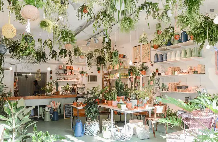 wilderness-amsterdam1