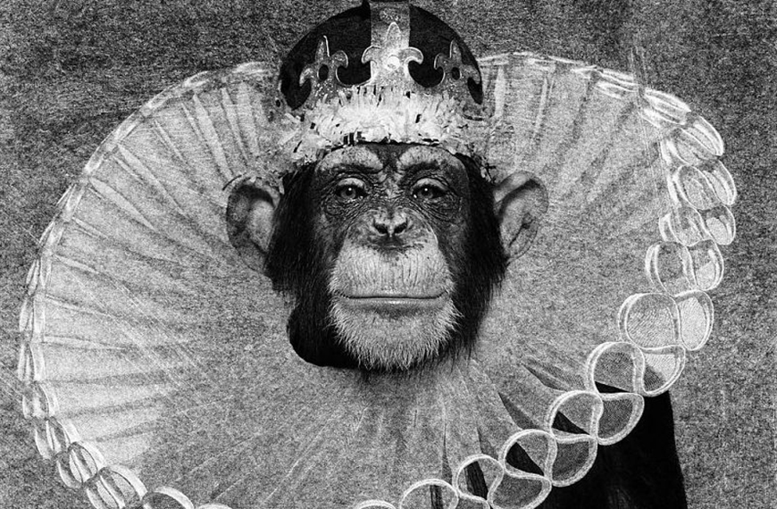 albert-watson-ink-monkey