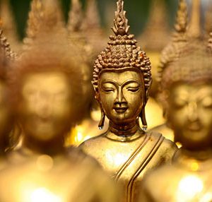 Authentic Thai flavors at Bird restaurant