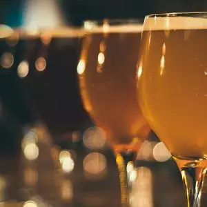 The Lion's Head Gastro Bar & Brewery
