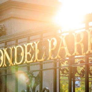 Vondelpark, hét park waar alle Amsterdammers samenkomen