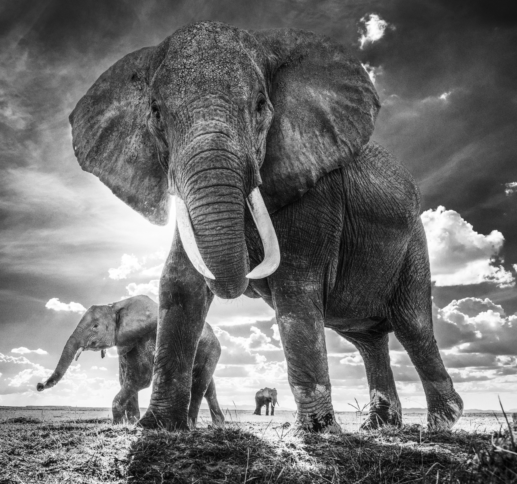 David-Yarrow