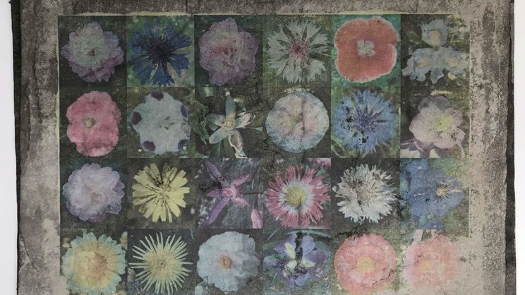 TheGalleryClub_Roos TheGalleryClub_Roos