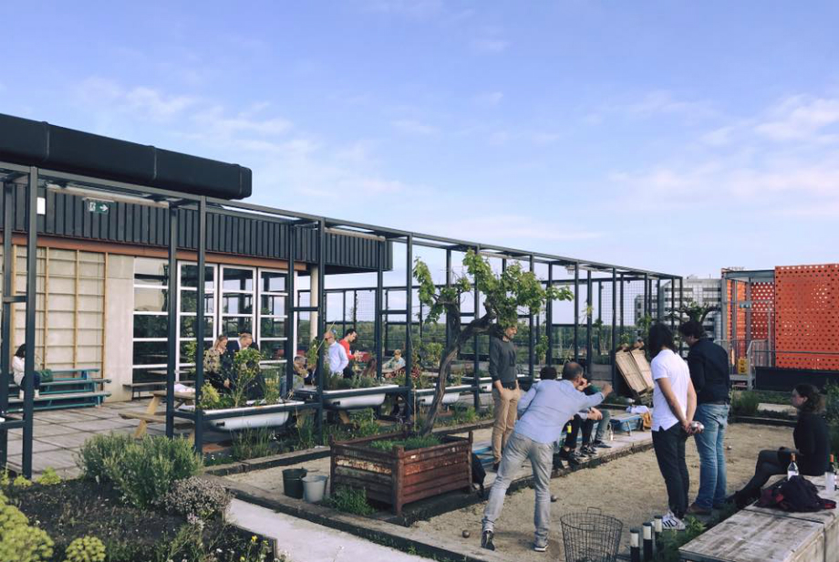 cafe-restaurant-bureau-rooftop-garden-bar