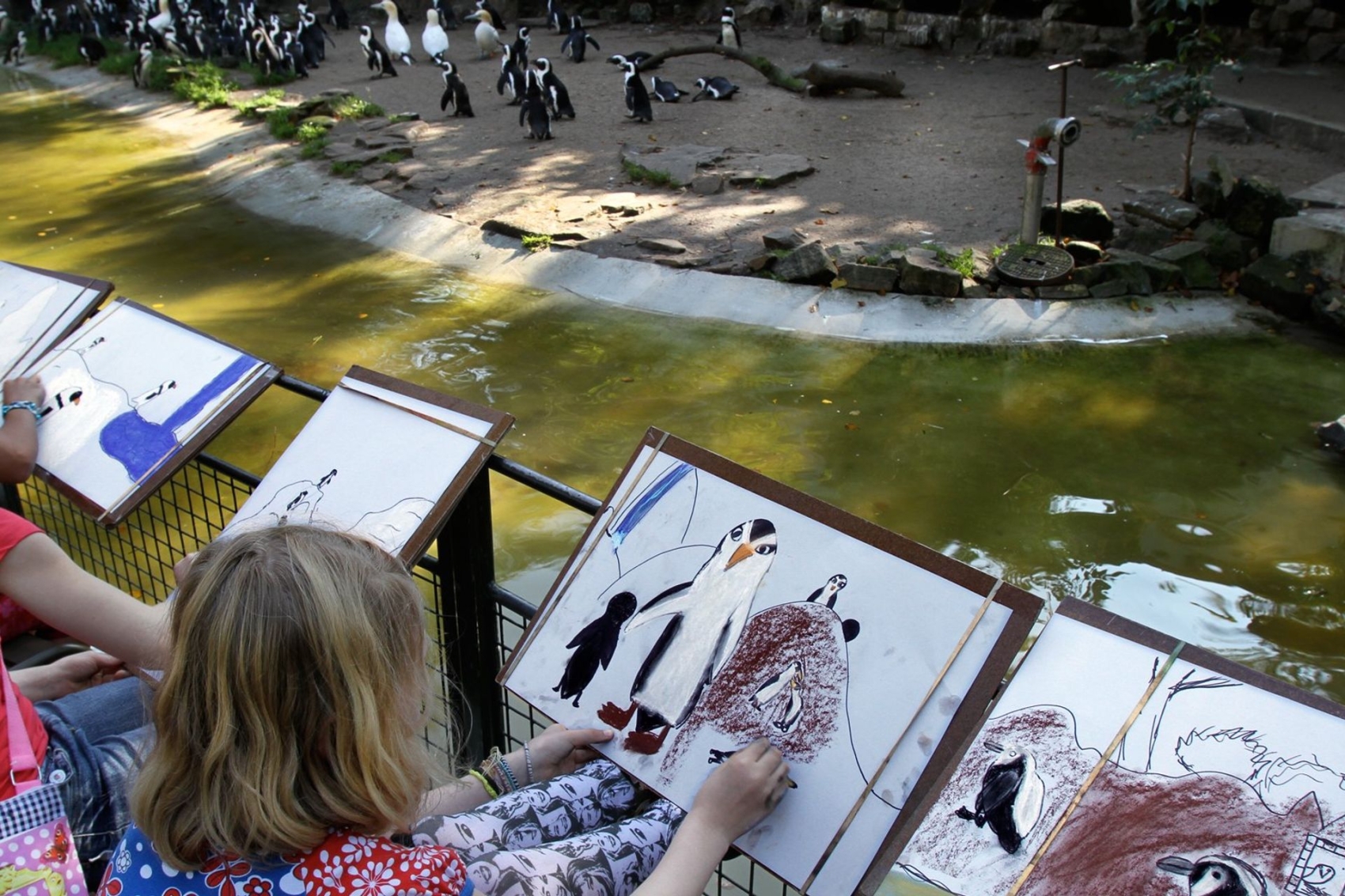 Alle-kinderen-gratis-naar-ARTIS-op-8-9-november.-Foto-ARTIS-Kirsten-van-Santen-4