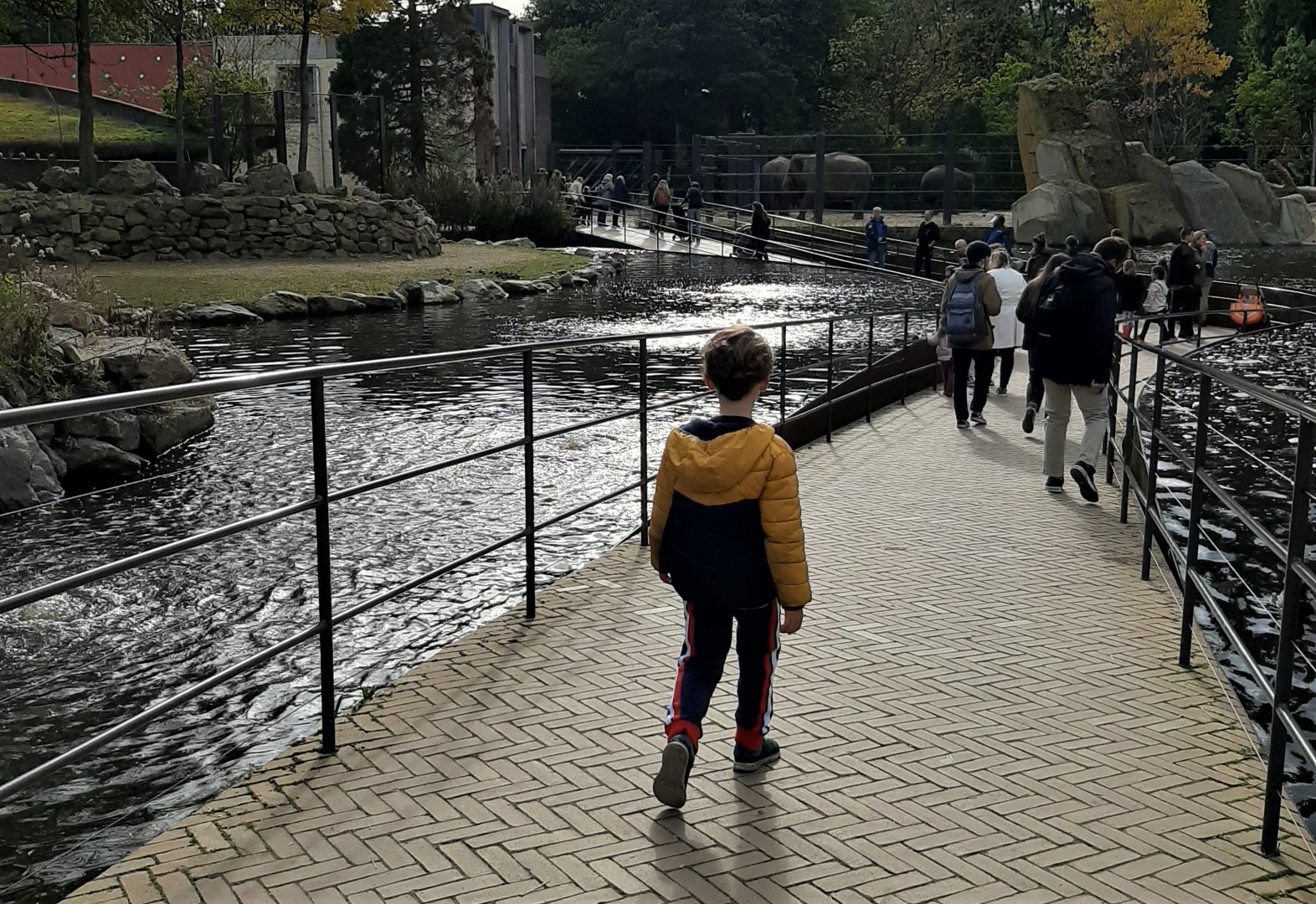 Alle-kinderen-gratis-naar-ARTIS-op-8-9-november.-Foto-ARTIS-Kirsten-van-Santen-5