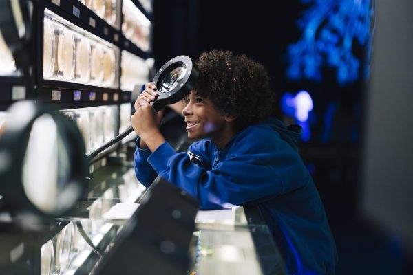 Alle-kinderen-gratis-naar-ARTIS-op-8-9-november.-Foto-ARTIS-Kirsten-van-Santen Alle-kinderen-gratis-naar-ARTIS-op-8-9-november.-Foto-ARTIS-Kirsten-van-Santen