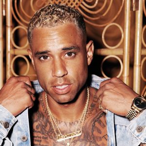 Zin in de Zomer Fest, festival with well-known Dutch artists