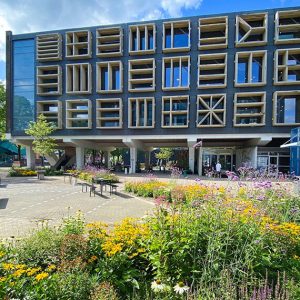 Buurtboerderij Centraal: Een Ontmoetingsplek voor Iedereen
