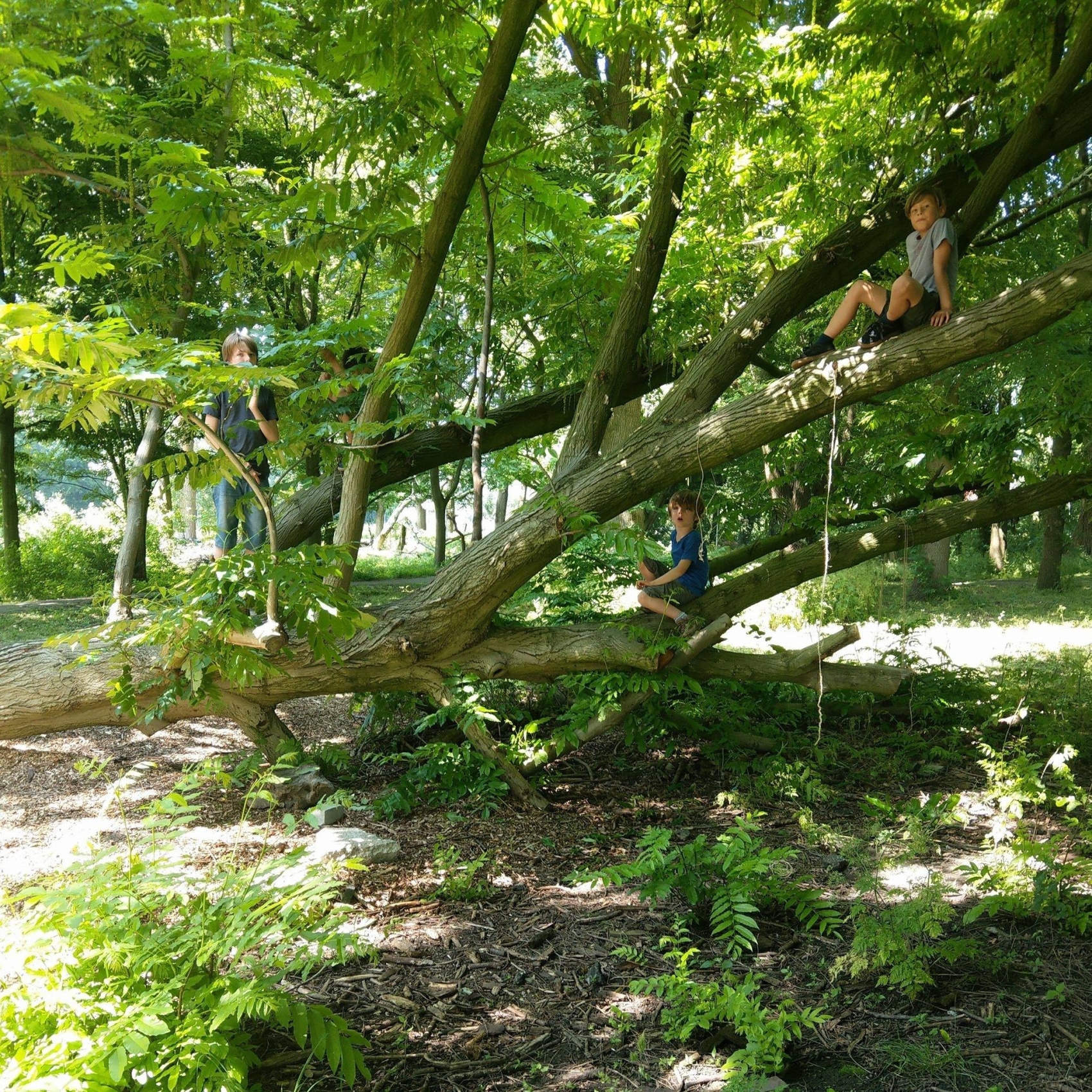 Noorder-park-amsterdam_1