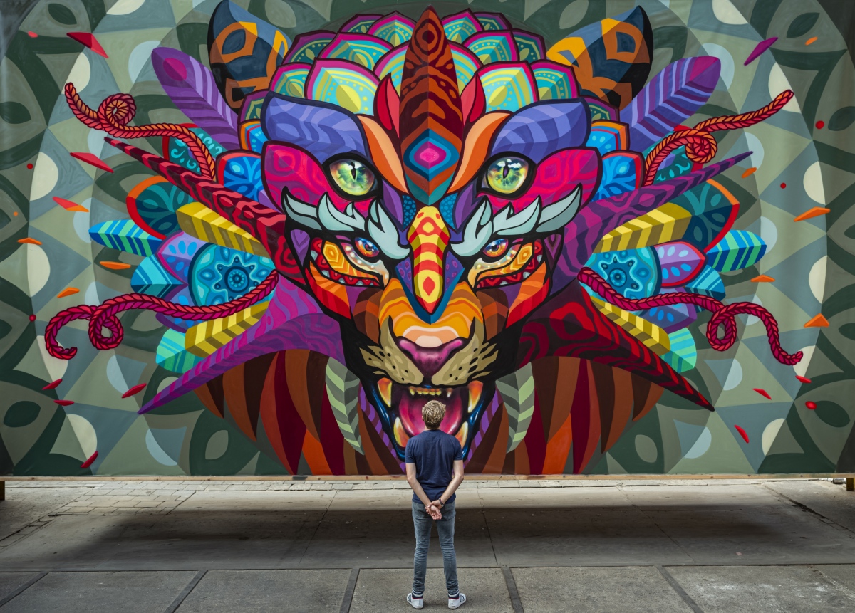 David Roos is curator of STRAAT, the world's largest street art museum