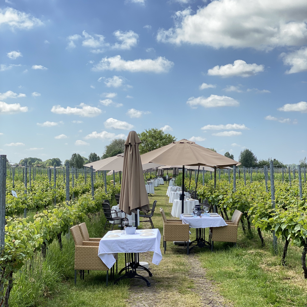 Wijngaard-De-Amsteltuin-lunch