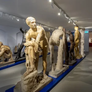 Allard Pierson Museum: Archeologische schatten en universitaire geschiedenis