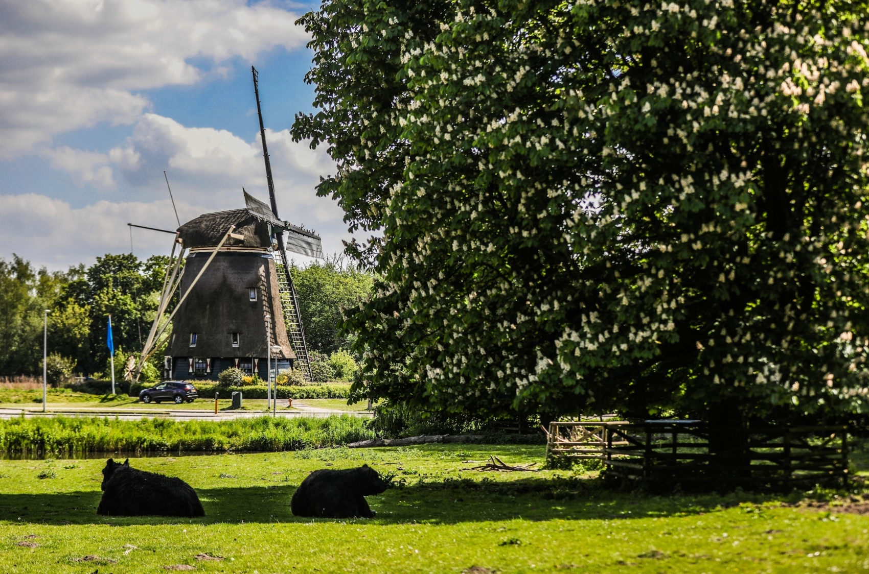 amstelpark-amsterdam amstelpark-amsterdam