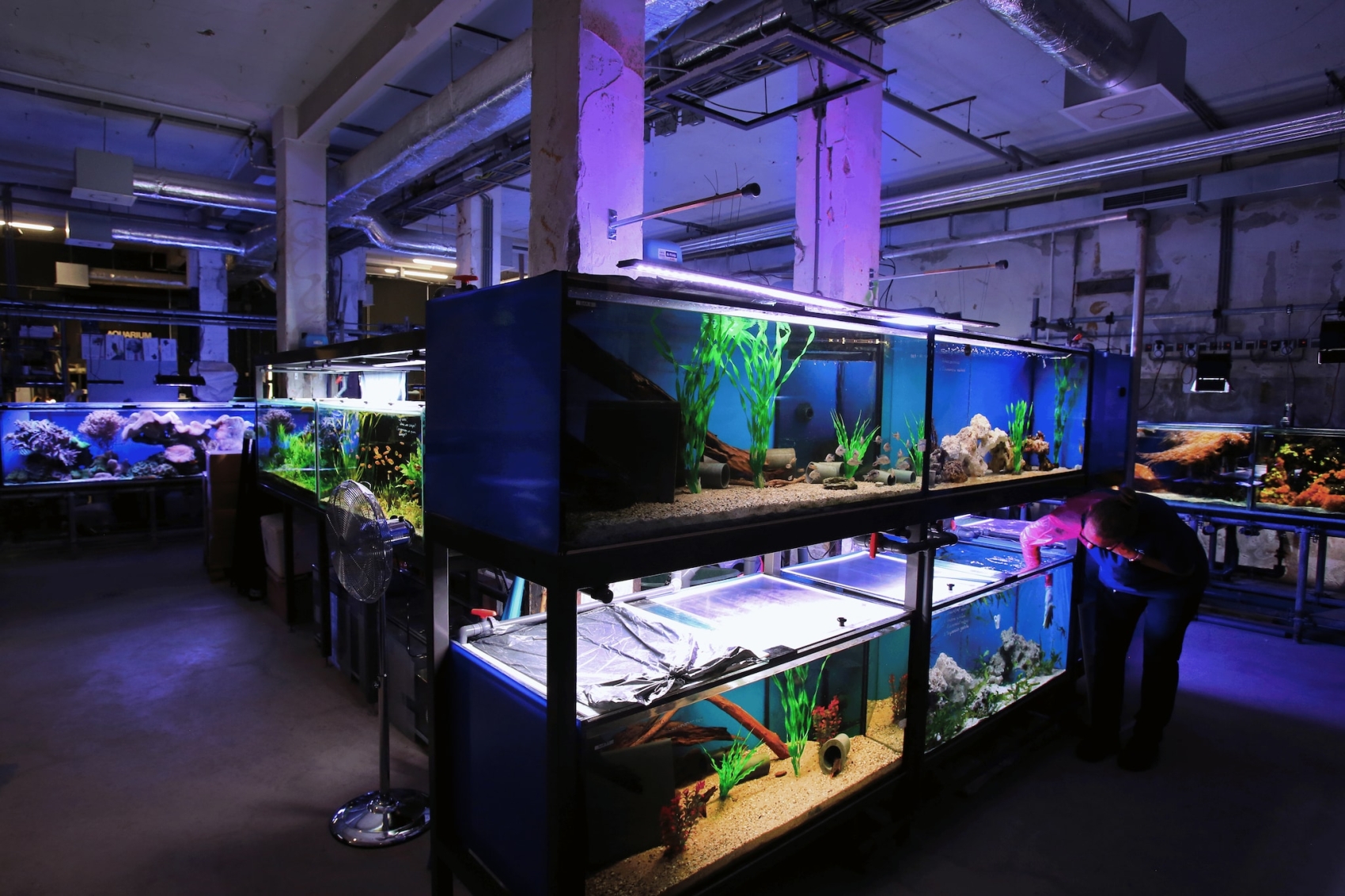 aquarium-artis-renovation-opening-amsterdam