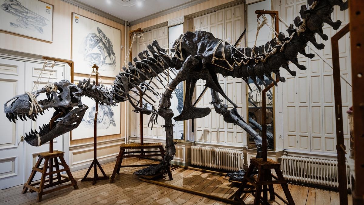 art-zoo-museum-amsterdam