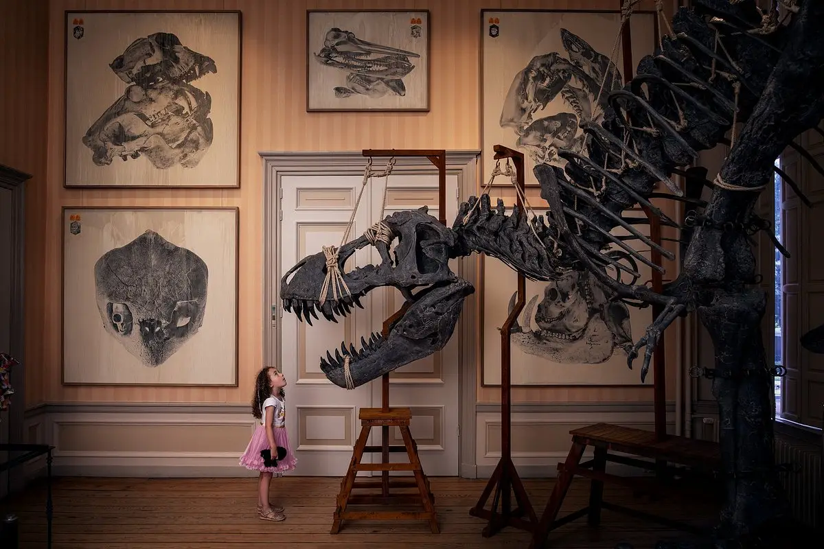 Relics at Art Zoo Museum: Baroque meets prehistoric fossils