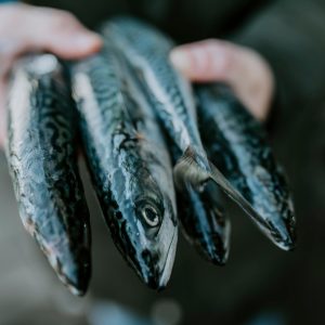 De beste visrestaurants van Amsterdam: 15x de lekkerste vis