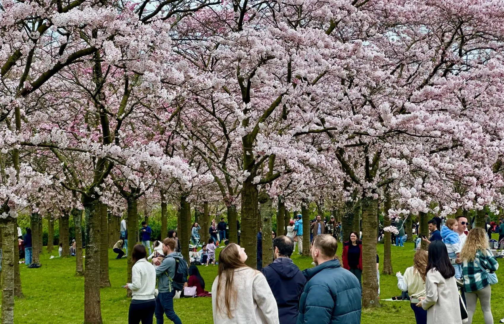 blossom-park-garden-amstelveen-amsterdam_2
