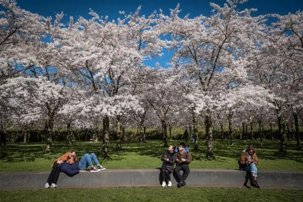 blossom-park-garden-amstelveen-amsterdam_3 blossom-park-garden-amstelveen-amsterdam_3