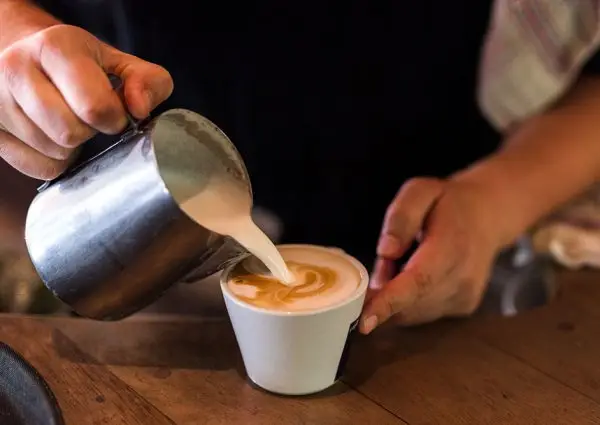 Café Wildschut: A century-old grand café near Roelof Hartplein