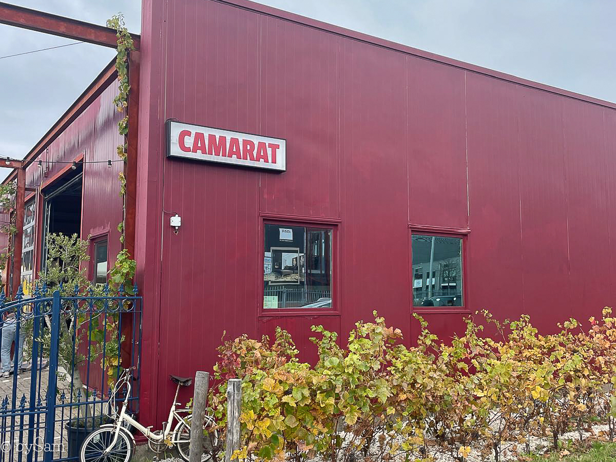 Camarat: Jeugdvrienden brengen ‘Noord Cuisine’ tot leven