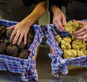 Casa Del Gusto: Italian delicacies from farming families