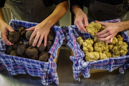 Casa Del Gusto: Italian delicacies from farming families