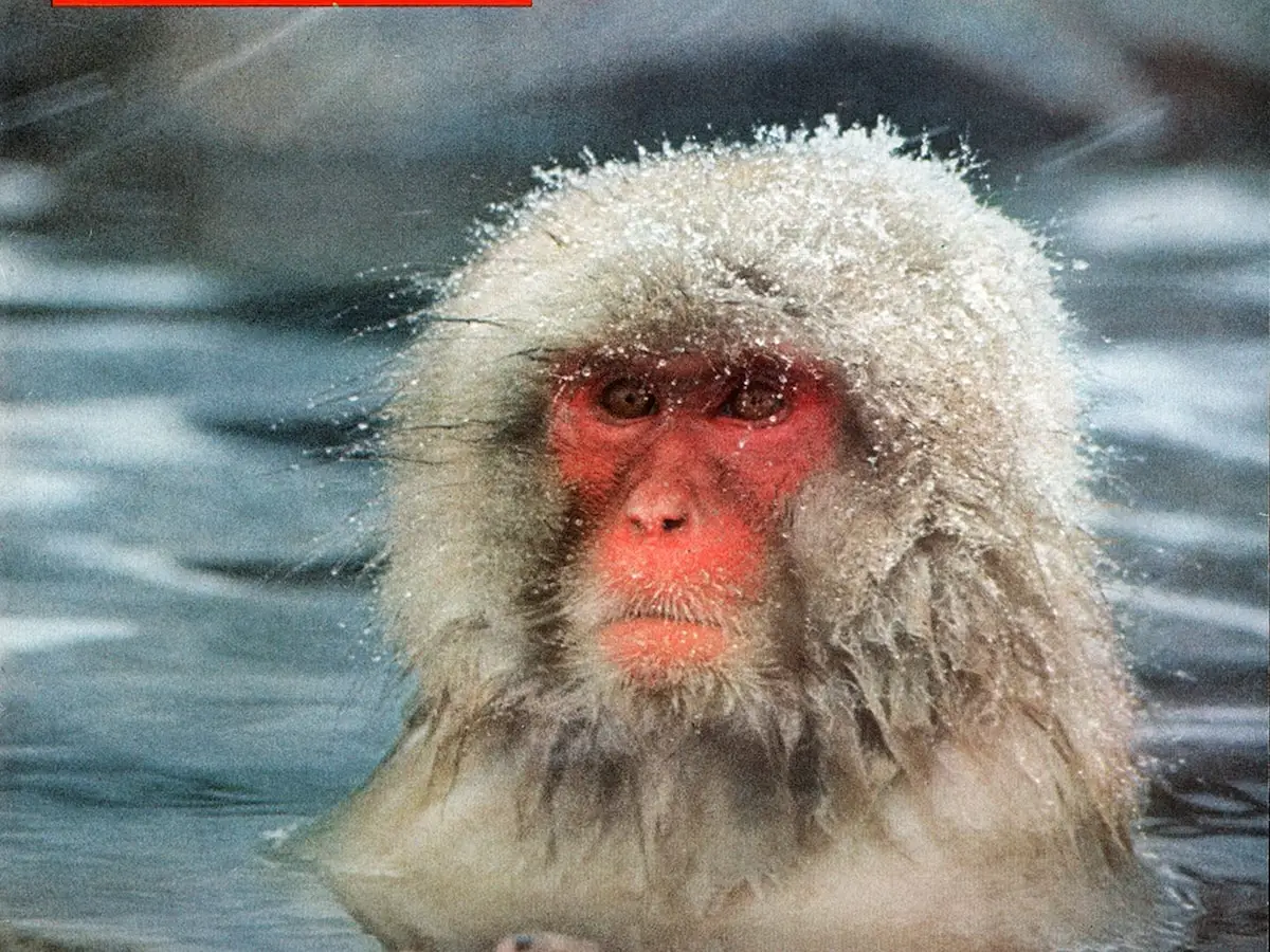 co-treasurer-witnessing-life3