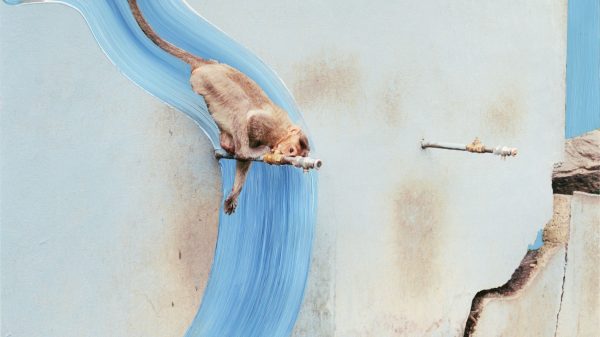 crossings_rijksmuseum