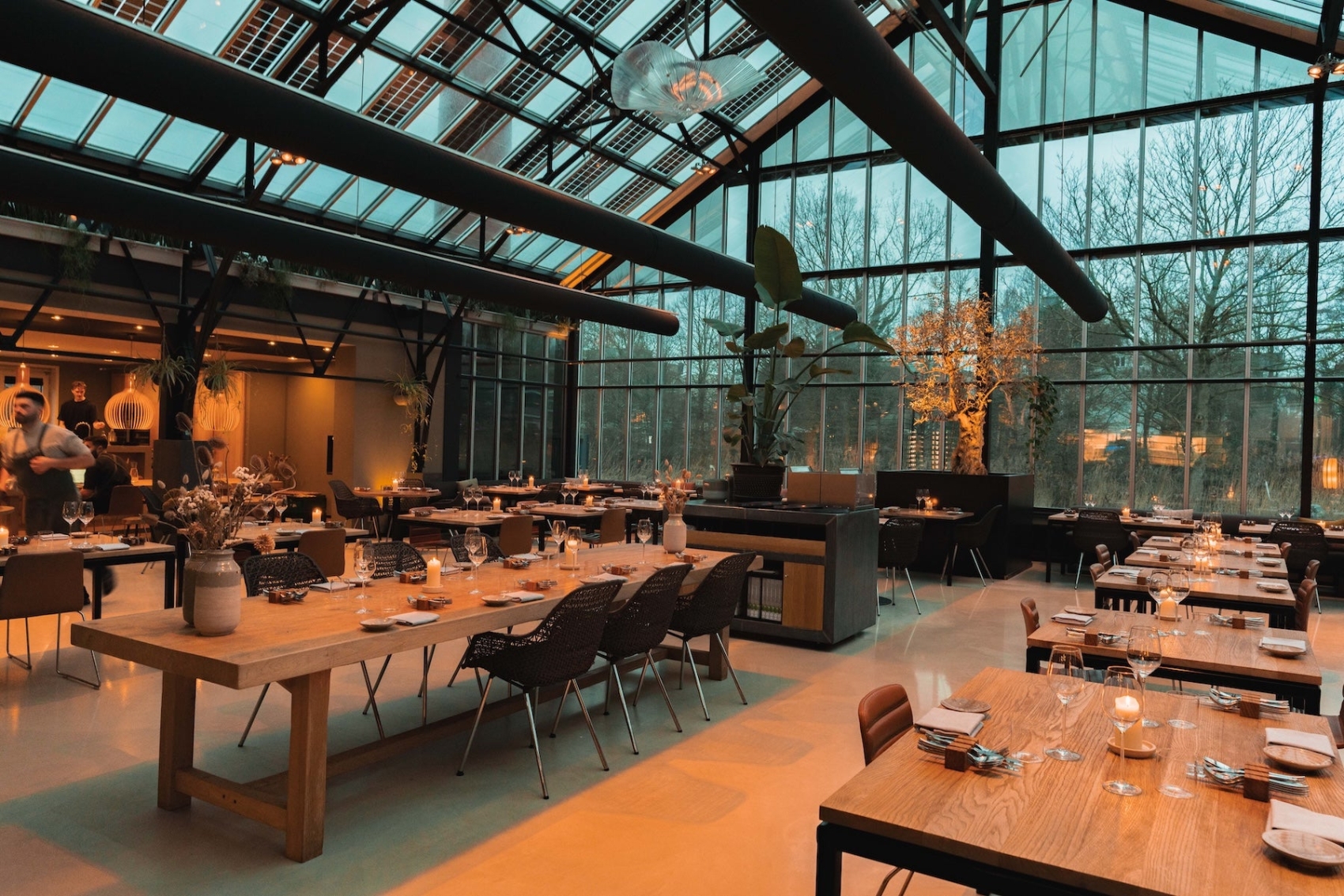 the-cash-sustainable-restaurant-amsterdam_3