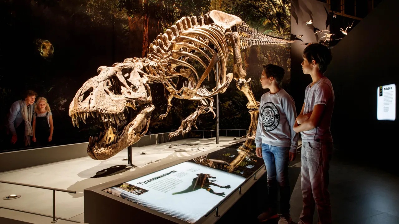 dino-museum-amsterdam