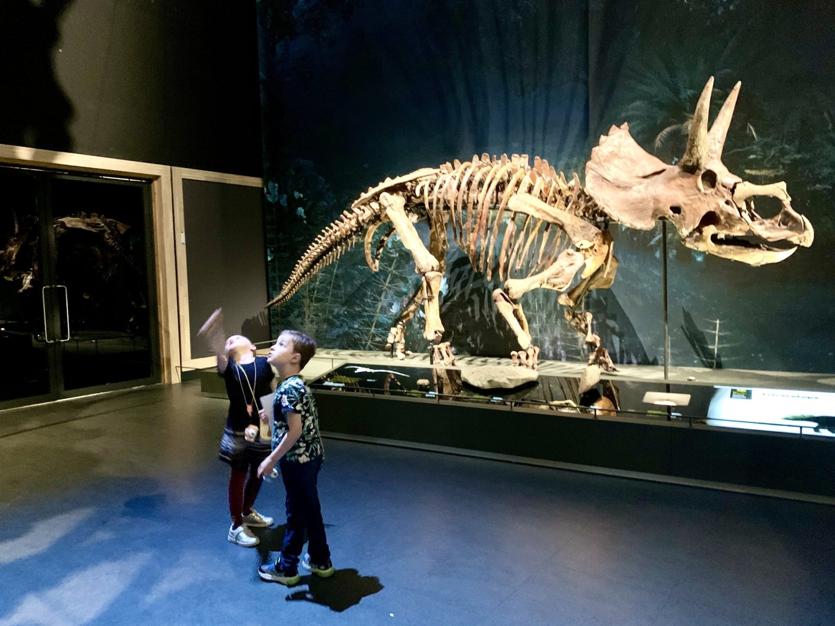 dino-museum-amsterdam2
