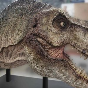 Naturalis opens a Dino Museum on Zuidas this summer