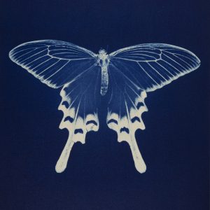 Expo ‘Ekō – Japan in twee beeldverhalen’ nu in Scheepvaartmuseum