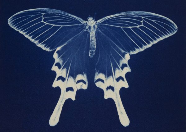 Expo ‘Ekō – Japan in twee beeldverhalen’ nu in Scheepvaartmuseum