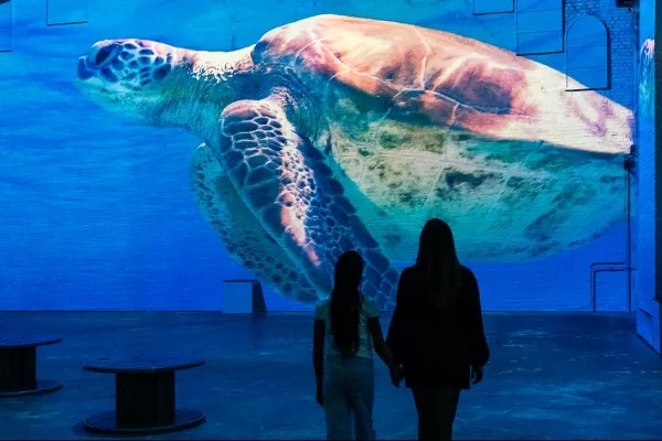 fabrique-des-lumieres-de-zee1