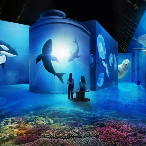 Fabrique des Lumières: Immersieve kunstbeleving