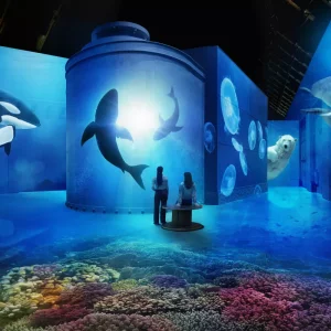 Fabrique des Lumières: Immersive art experience