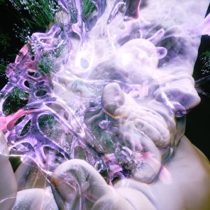 FIBER Festival, ontmoetingsplek voor audiovisuele kunst