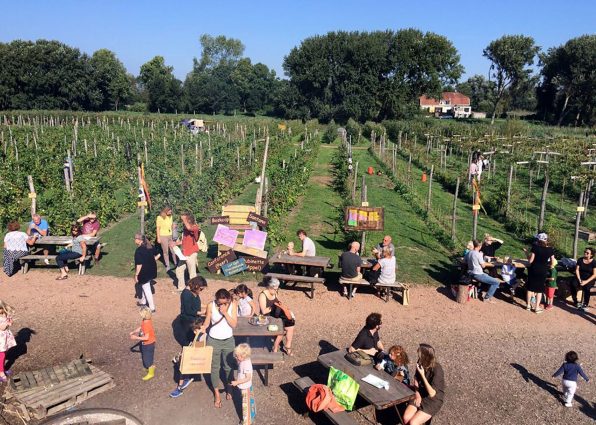 fruittuinen-west-cafe-amsterdam_1