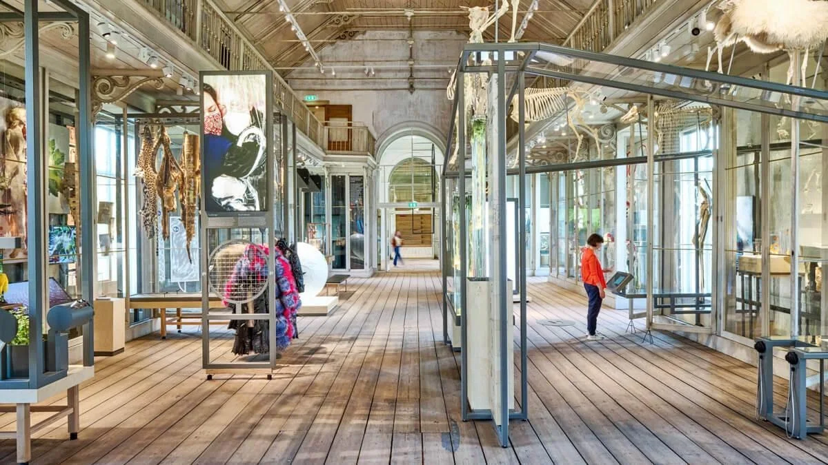 groote-museum-artis4