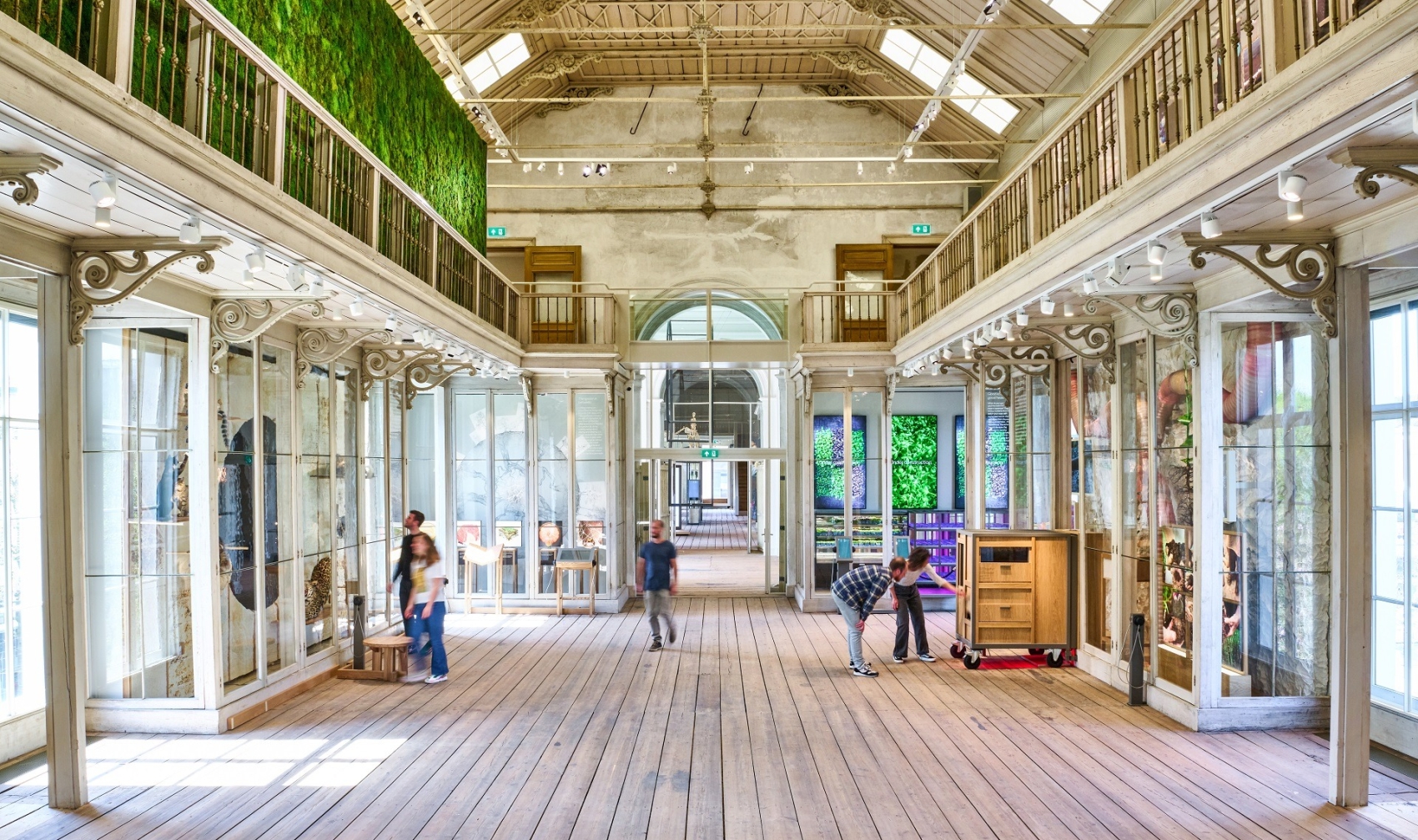 great-musuem-artis2