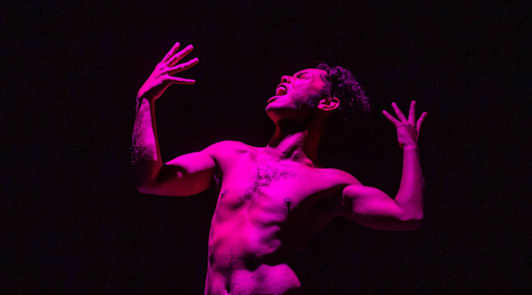 holland-festival-2024